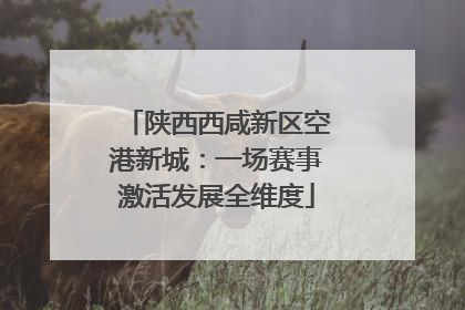 陕西西咸新区空港新城：一场赛事激活发展全维度