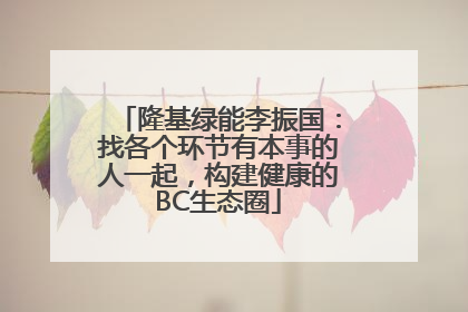 隆基绿能李振国：找各个环节有本事的人一起，构建健康的BC生态圈