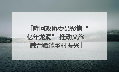 隆回政协委员聚焦“亿年龙洞” 推动文旅融合赋能乡村振兴