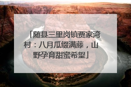 随县三里岗镇贾家湾村：八月瓜缀满藤，山野孕育甜蜜希望