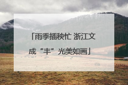 雨季插秧忙 浙江文成“丰”光美如画