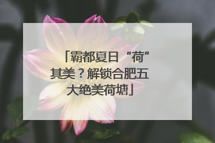 霸都夏日“荷”其美？解锁合肥五大绝美荷塘