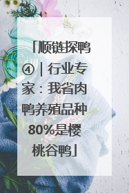 顺链探鸭④｜行业专家：我省肉鸭养殖品种80%是樱桃谷鸭