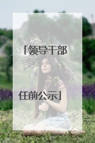 领导干部任前公示