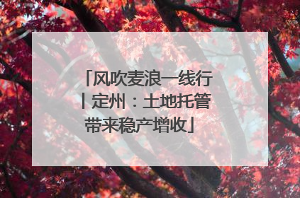 风吹麦浪一线行丨定州：土地托管带来稳产增收