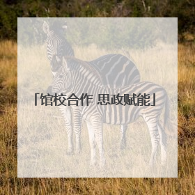 馆校合作 思政赋能