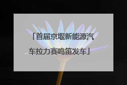 首届京堰新能源汽车拉力赛鸣笛发车