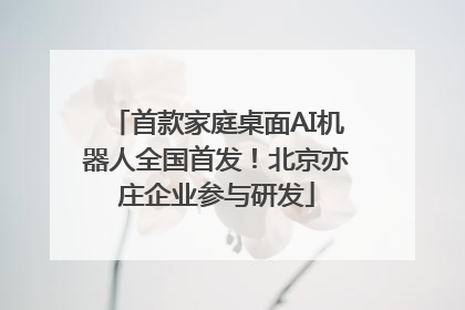 首款家庭桌面AI机器人全国首发！北京亦庄企业参与研发