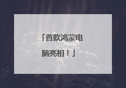 首款鸿蒙电脑亮相！