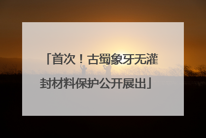 首次！古蜀象牙无灌封材料保护公开展出