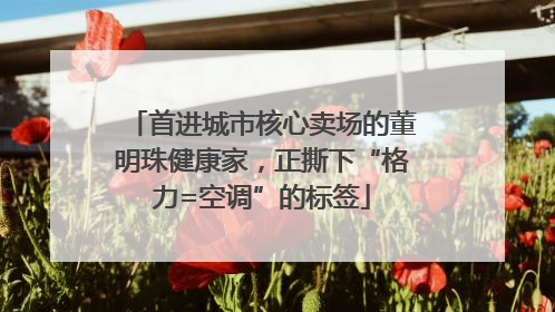 首进城市核心卖场的董明珠健康家，正撕下“格力=空调”的标签