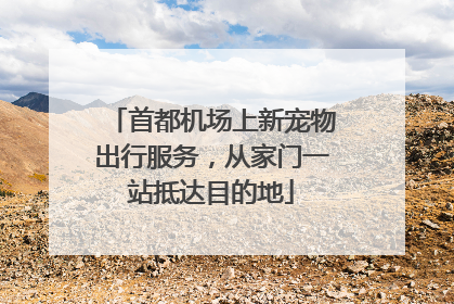 首都机场上新宠物出行服务，从家门一站抵达目的地