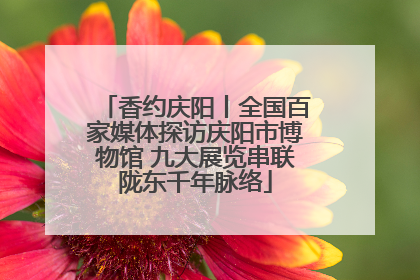 香约庆阳丨全国百家媒体探访庆阳市博物馆 九大展览串联陇东千年脉络