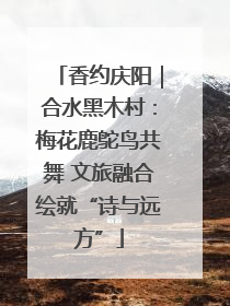 香约庆阳｜合水黑木村：梅花鹿鸵鸟共舞 文旅融合绘就“诗与远方”