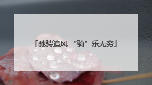 驰骋追风 “骑”乐无穷