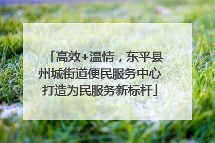 高效+温情，东平县州城街道便民服务中心打造为民服务新标杆