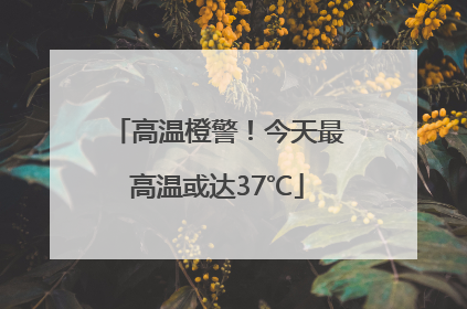 高温橙警！今天最高温或达37℃