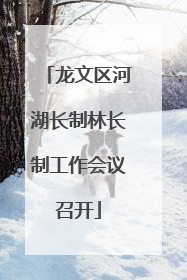 龙文区河湖长制林长制工作会议召开