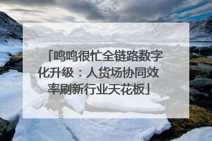 鸣鸣很忙全链路数字化升级：人货场协同效率刷新行业天花板