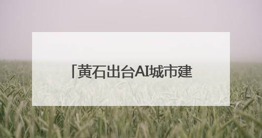 黄石出台AI城市建设行动计划 首批27个应用场景清单发布