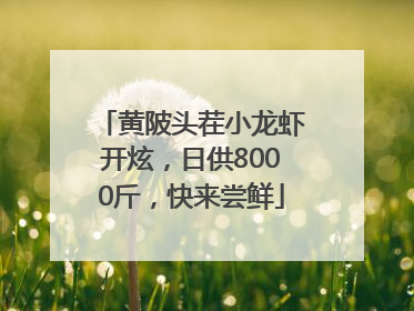 黄陂头茬小龙虾开炫，日供8000斤，快来尝鲜