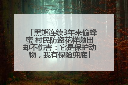 黑熊连续3年来偷蜂蜜 村民防盗花样频出却不伤害：它是保护动物，我有保险兜底