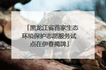 黑龙江省首家生态环境保护志愿服务试点在伊春揭牌