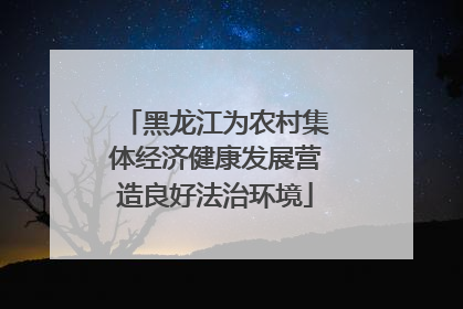 黑龙江为农村集体经济健康发展营造良好法治环境