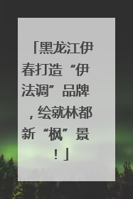 黑龙江伊春打造“伊法调”品牌，绘就林都新“枫”景！