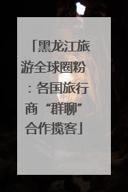 黑龙江旅游全球圈粉：各国旅行商“群聊”合作揽客