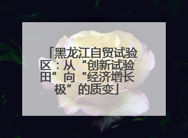 黑龙江自贸试验区：从“创新试验田”向“经济增长极”的质变