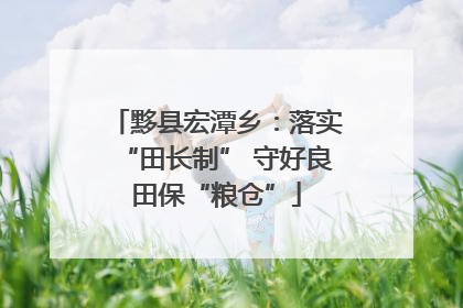 黟县宏潭乡：落实“田长制” 守好良田保“粮仓”