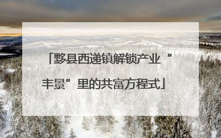 黟县西递镇解锁产业“丰景”里的共富方程式