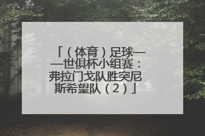 （体育）足球——世俱杯小组赛：弗拉门戈队胜突尼斯希望队（2）