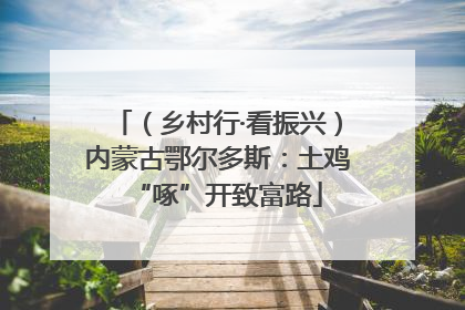 （乡村行·看振兴）内蒙古鄂尔多斯：土鸡“啄”开致富路