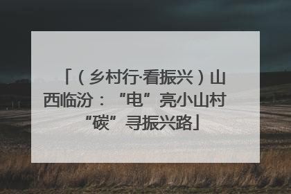 （乡村行·看振兴）山西临汾：“电”亮小山村 “碳”寻振兴路