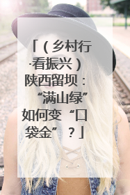 （乡村行·看振兴）陕西留坝：“满山绿”如何变“口袋金”？