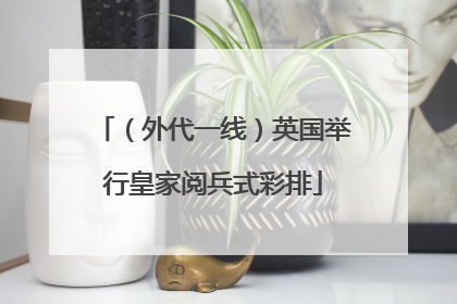（外代一线）英国举行皇家阅兵式彩排