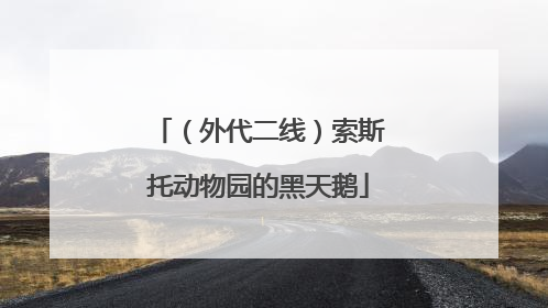 （外代二线）索斯托动物园的黑天鹅
