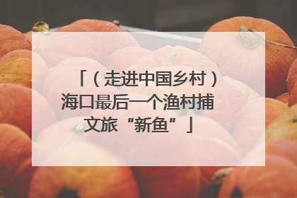 （走进中国乡村）海口最后一个渔村捕文旅“新鱼”