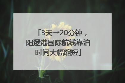 3天→20分钟，阳逻港国际航线靠泊时间大幅缩短