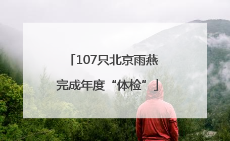 107只北京雨燕完成年度“体检”