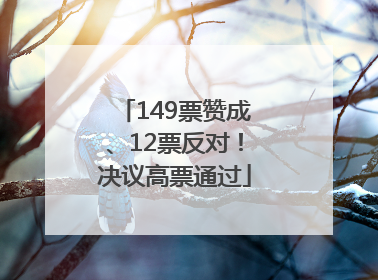 149票赞成、12票反对！决议高票通过