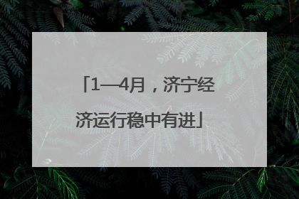 1—4月，济宁经济运行稳中有进