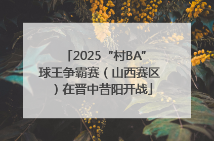 2025“村BA”球王争霸赛（山西赛区）在晋中昔阳开战