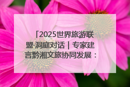 2025世界旅游联盟·洞庭对话｜专家建言黔湘文旅协同发展：聚焦产品稀缺性 深化区域经验共享