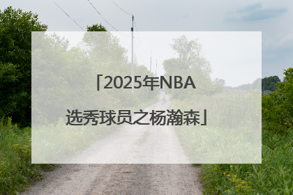 2025年NBA选秀球员之杨瀚森