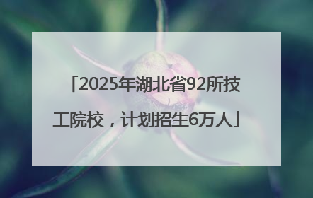 2025年湖北省92所技工院校，计划招生6万人