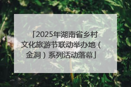 2025年湖南省乡村文化旅游节联动举办地（金洞）系列活动落幕