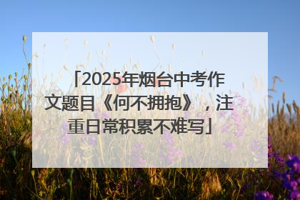 2025年烟台中考作文题目《何不拥抱》，注重日常积累不难写